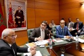 بنسعيد: 80 من المائة من ملاحظات المجلس الاقتصادي والاجتماعي والبيئي والمجلس الوطني لحقوق الإنسان، تم الأخذ بها …