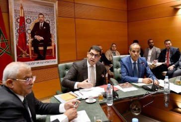 بنسعيد: 80 من المائة من ملاحظات المجلس الاقتصادي والاجتماعي والبيئي والمجلس الوطني لحقوق الإنسان، تم الأخذ بها …