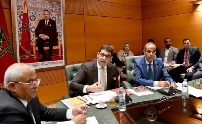 بنسعيد: 80 من المائة من ملاحظات المجلس الاقتصادي والاجتماعي والبيئي والمجلس الوطني لحقوق الإنسان، تم الأخذ بها …
