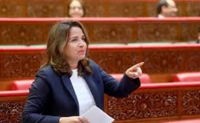 بنعلي تكشف عن اليات إصلاح القطاع المعدني