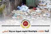مراسلة موجهة الى رئيس المجلس الجماعي مدينة اسفي بشأن الاختلالات التي تطال تدبير مرفق النظافة …