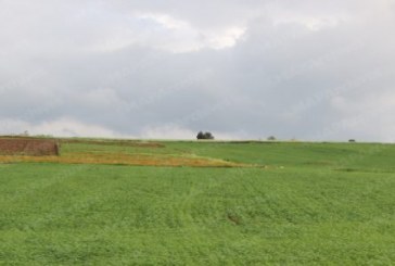 توقعات أحوال الطقس اليوم الأربعاء