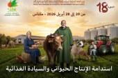 الدورة الثامنة عشرة للملتقى الدولي للفلاحة بالمغرب تعتمد صيغة موسعة تمتد على مدى تسعة أيام من 20 إلى 28 أبريل بمكناس. (بلاغ صحفي)