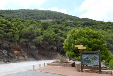 الغابات، تراث طبيعي في صلب التنمية المستدامة