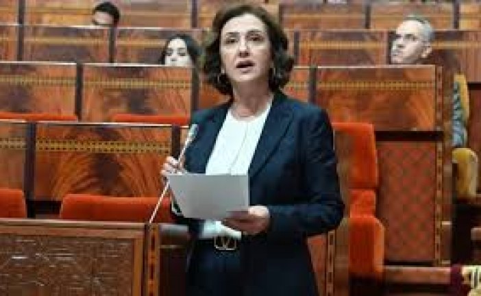 معاناة المعتمرين والحجاج المغاربة مع بعض وكالات الأسفار تجر وزيرة السياحة والصناعة التقليدية والاقتصاد الاجتماعي والتضامني الى المساءلة البرلمانية.