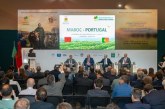 الاحتفاء بالبرتغال ضيف شرف الدورة الثامنة عشرة للملتقى الدولي للفلاحة بالمغرب