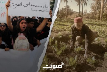 قابس جنة الأرض المفقودة: بين جيل الأجداد وجيل زد