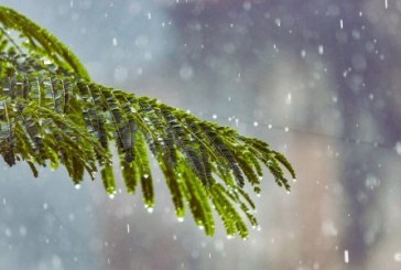 هبات رياح قوية وزخات رعدية مع تساقط البرد يومي الخميس والجمعة بعدد من مناطق المملكة (نشرة إنذارية)