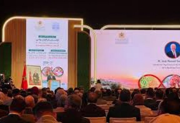 البواري: محصول الحبوب مرشح لبلوغ 90 مليون قنطار خلال الموسم الفلاحي 2025-2026