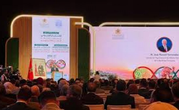 البواري: محصول الحبوب مرشح لبلوغ 90 مليون قنطار خلال الموسم الفلاحي 2025-2026