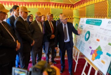 درعة-تافيلالت.. الوكالة الوطنية للمياه والغابات تكثف جهود مكافحة زحف الرمال