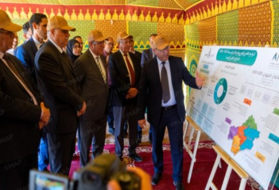 درعة-تافيلالت.. الوكالة الوطنية للمياه والغابات تكثف جهود مكافحة زحف الرمال