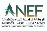 الوكالة الوطنية للمياه والغابات تصدر خرائط تنبؤ تحدد بدقة المناطق الحساسة والمعرضة لخطر اندلاع الحرائق الغابوية