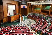 انطلاق الندوة التفاعلية الأولى لمنصة مجلس المستشارين للدبلوماسية البرلمانية والحوار جنوب – جنوب الخاصة بإفريقيا