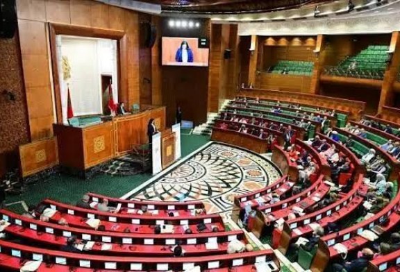 انطلاق الندوة التفاعلية الأولى لمنصة مجلس المستشارين للدبلوماسية البرلمانية والحوار جنوب – جنوب الخاصة بإفريقيا