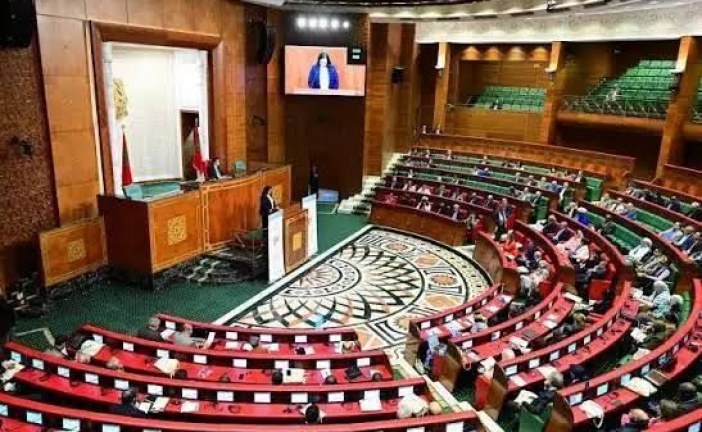 انطلاق الندوة التفاعلية الأولى لمنصة مجلس المستشارين للدبلوماسية البرلمانية والحوار جنوب – جنوب الخاصة بإفريقيا