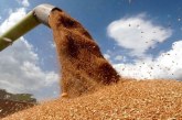 جهة فاس مكناس تعزز موقعها الاستراتيجي في منظومة الأمن الغذائي الوطني.