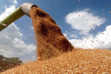 جهة فاس مكناس تعزز موقعها الاستراتيجي في منظومة الأمن الغذائي الوطني.