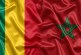 مالي تشيد بـ”ريادة المغرب” في إرساء الاتفاقية الإفريقية بشأن نزع سلاح الأطفال الجنود وتسريحهم وإعادة إدماجهم