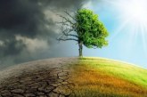 البرامج  الحزبية  الانتخابية تفتقد إلى رؤية مستقبلية ومستدامة…